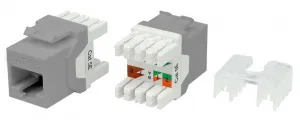 1efe3c31