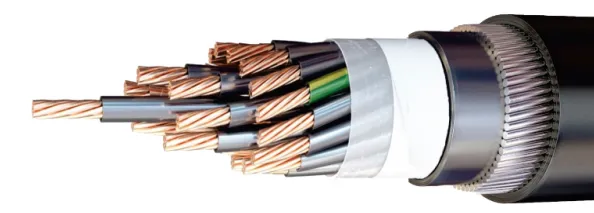 fzver1